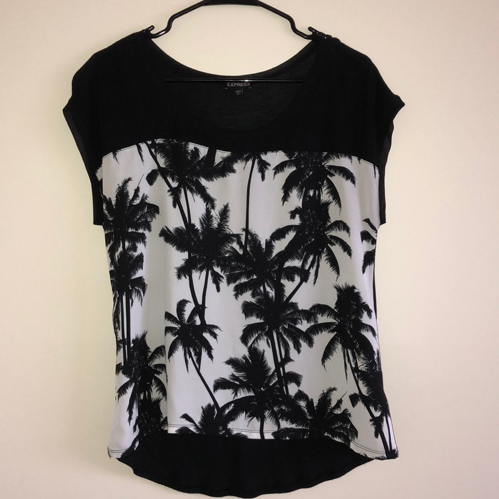 Express Palm Tree Top